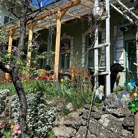 Villa Kuschmann Braşov Exterior foto