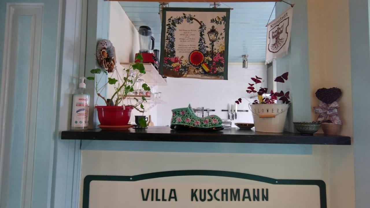 Villa Kuschmann Braşov Exterior foto