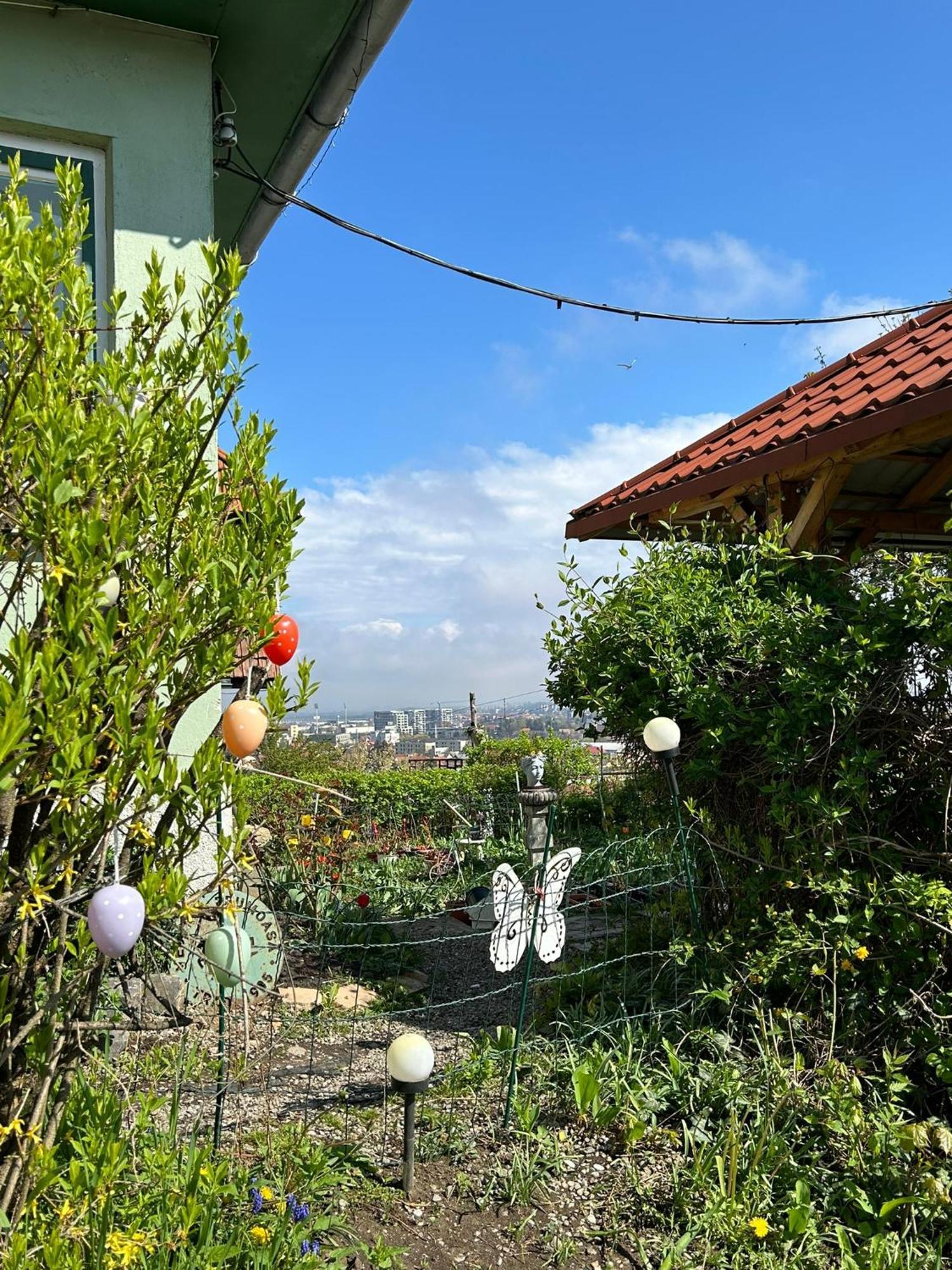 Villa Kuschmann Braşov Exterior foto