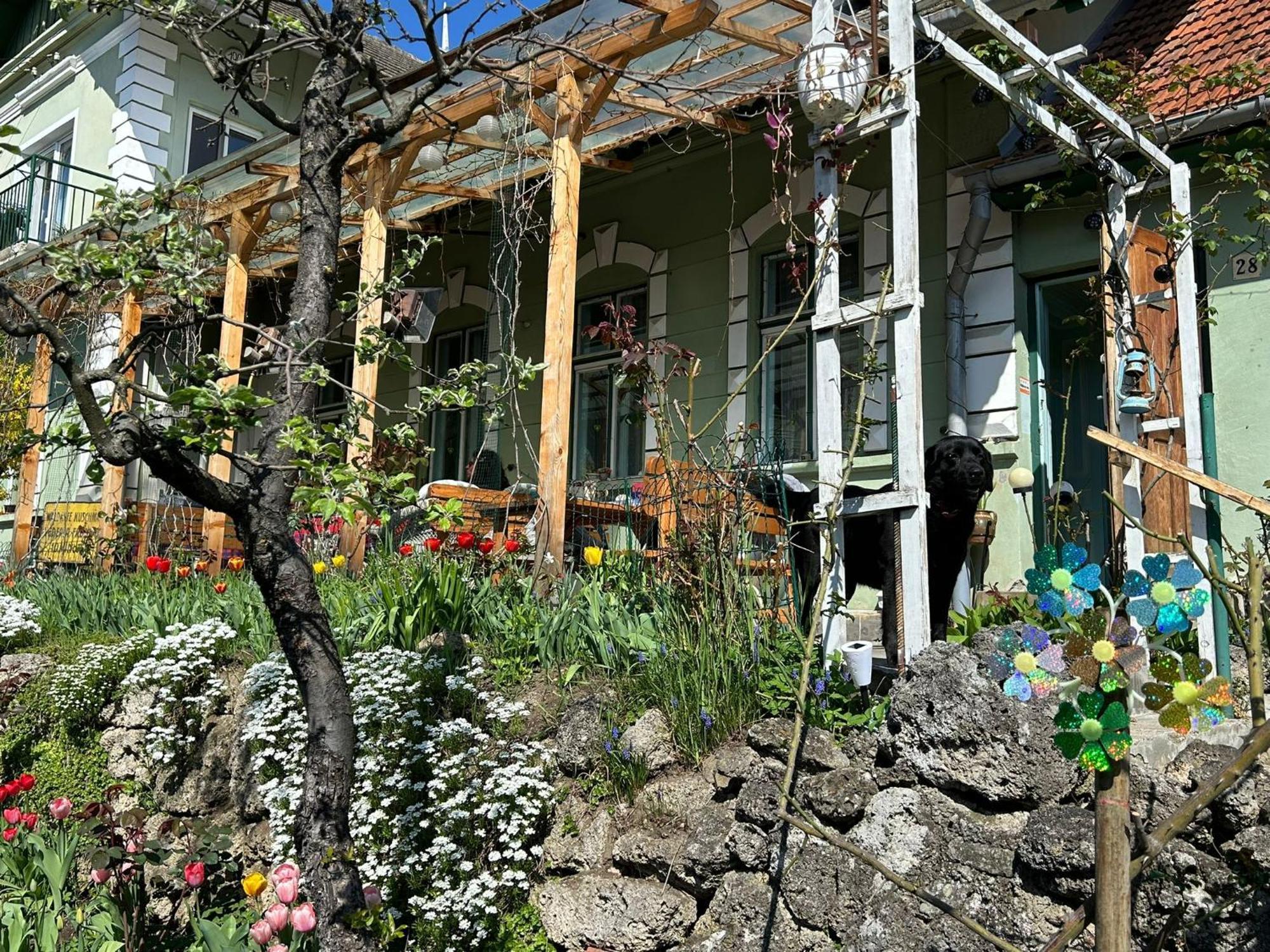 Villa Kuschmann Braşov Exterior foto